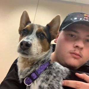 Meet your Posher, Tyler